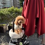 クッチーナ デル カンポ - 日当たり良好♪