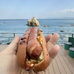 志賀島ドッグ - 2026年1月志賀島ドック