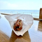 志賀島ドッグ - 2026年1月