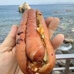 志賀島ドッグ - 2026年1月