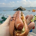 志賀島ドッグ - 2026年1月
