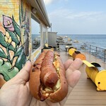 志賀島ドッグ - 2026年1月