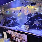 AQUA Table - 内観_水槽