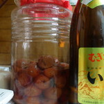 丸八酒店 - 美味しそうな梅干しを見て久しぶりに麦焼酎のお湯割りを頼んでしまいました