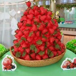 ラウンジ・オー - 