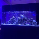 shisha&bar URUPUKA - 