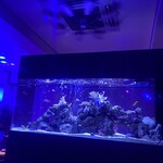 shisha&bar URUPUKA - 