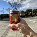 九州料理･焼酎 ひかり屋 - 1次会を和田倉噴水公園にて