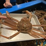 カニカニランド - 