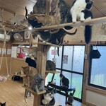 ねこ屋 - 