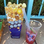 ビッグポップ - 