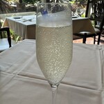 タント タント - 