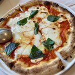 タント タント - 