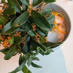 シグネチャー - 