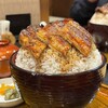 うなぎ料理 はし家 - 