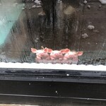 麺屋一門 チャーシュー屋 ひろき - 