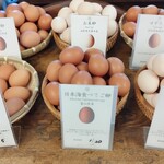 喜三郎農場 - 2026年1月12日お昼の卵