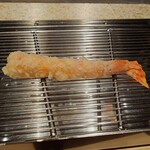 てんぷら 山の上 Roppongi - 海老1匹目