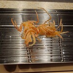 てんぷら 山の上 Roppongi - 