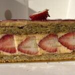 ブロンディール - フレジェ