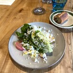 ブラインドドンキー - 