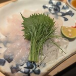 築地すし好匠 麻布十番店 - 