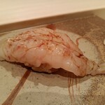 鮨 銀座 おのでら - ボタン海老