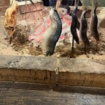 居酒屋 ちょーちょ - 店頭で焼かれる魚たち