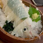 呼子活イカ さかなや道場 - 