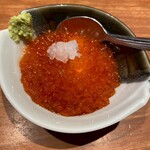 ヒロカワテーラー - 