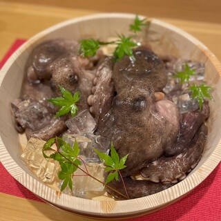 活たこ・創作料理 さるのこしかけ_1