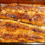 うなぎ 桜家 - うな重鰻1匹分