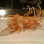 天ぷら　酒菜　醍醐 - 海老の頭・・。
