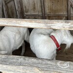 奄美山羊島ホテル - 