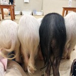 マイピッグカフェ イオンモール札幌発寒店 - 