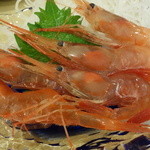 Shinya Sushi - 甘えび　さしみ