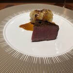 スガラボヴィー - 