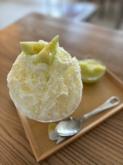 こぶたとカモメ