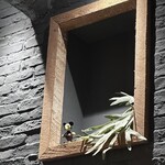 Disney HARVEST MARKET By CAFE COMPANY - 