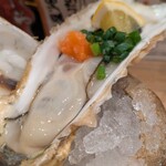 大衆寿司酒場だるびっしゅ - 