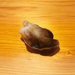 鮨 さかい - 淡路島トリ貝