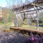 クラブハリエ 日牟禮カフェ - お庭（藤棚）