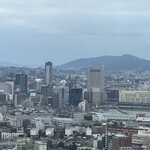 トミズダイナー - 