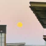 さいたま新都心 風凛 - 