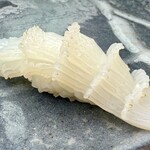 築地寿司清 - 剣先イカ❗️