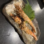 虎丸 - 西京味噌につけられて炙られた車海老。
