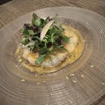 トラットリア コルディアーレ - 