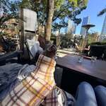 毛利 Salvatore Cuomo - 