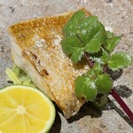 馳走 啐啄一十  - 