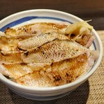 せかい鮨 - 料理写真: